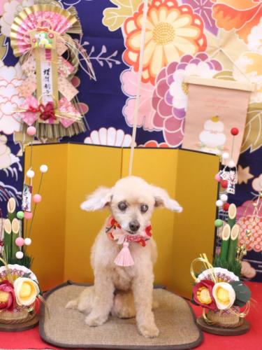 20240114桃果ちゃん 